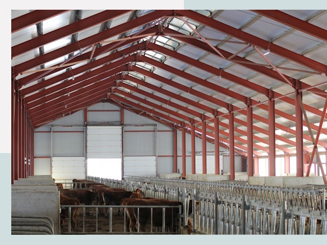 Строительство коровников в Казани